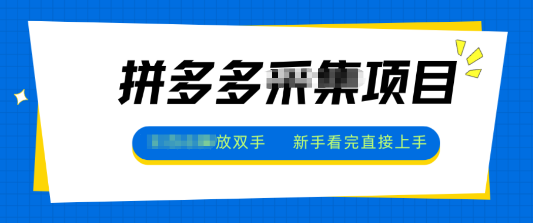 拼多多电商采集,一小时50+,操作简单,零投资-数智网创