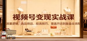 视频号变现实战课：流量逻辑、选品排品、投流技巧，覆盖开店到复盘全流程-数智网创