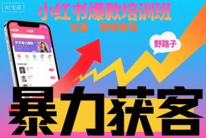 小红书爆款培训班,小红书获客野路子流量打法,暴力持续获客-数智网创