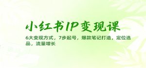 小红书IP变现课：6大变现方式，7步起号，爆款笔记打造，定位选品，流量增长-数智网创