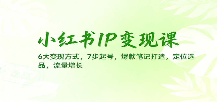 小红书IP变现课：6大变现方式，7步起号，爆款笔记打造，定位选品，流量增长-数智网创