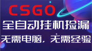 【副业好项目】全球火爆游戏CSGO自动捡漏，新手小白日入500+-数智网创