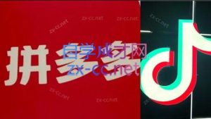 老陶电商·拼多多+抖音小店无货源开店(更新11月)-数智网创