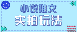 小说推文实拍玩法，零成本零门槛10元/单，轻松月收益万元-数智网创
