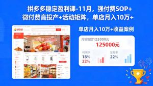 拼多多稳定盈利课-11月，强付费SOP+微付费高投产+活动矩阵，单店月入10万+-数智网创