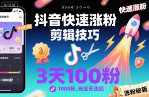 抖音快速涨粉剪辑技巧，3天1000粉，安全无违规-数智网创