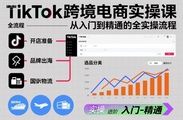 TikTok跨境电商实操课,从入门到精通的全实操流程-数智网创