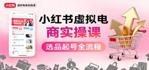 小红书虚拟电商实操课:选品起号+AI 内容创作+店铺运营+引流私域+自动化发笔记-数智网创