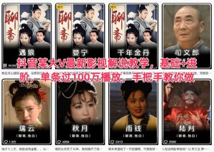 抖音某大V最新影视解说教学，基础+进阶，单条过100万播放，手把手教你做-数智网创