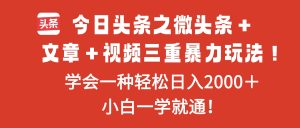 今日头条之微头条＋文章＋视频三重暴力玩法，学会一种轻松日入2000＋，...-数智网创
