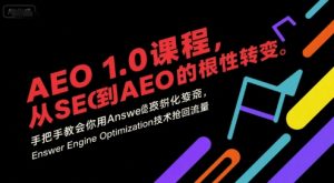 AEO 1.0 课程，从SEO到AE0的基命性转变，手把手教会你用AnswerEngineOptimization技术抢回流量(更新)-数智网创