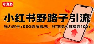 小红书野路子引流,暴力起号+SEO霸屏截流,移花接木日获客100+-数智网创