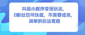 抖音小程序变现玩法，0粉丝也可以做，不需要成本，简单的玩法教程-数智网创