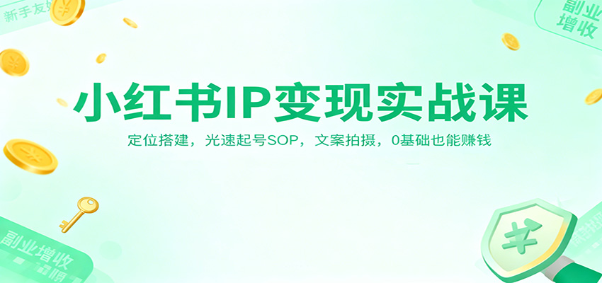 小红书IP变现实战课:定位搭建,光速起号SOP,文案拍摄,0基础也能赚钱-数智网创