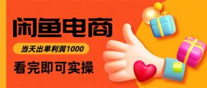 闲鱼高利润电商,当天上架当天出单,一单利润300-数智网创