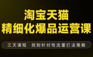 猫课子幽·淘宝天猫精细化爆品运营【音频+字幕+文档】(9月12-14杭州线下课)-数智网创