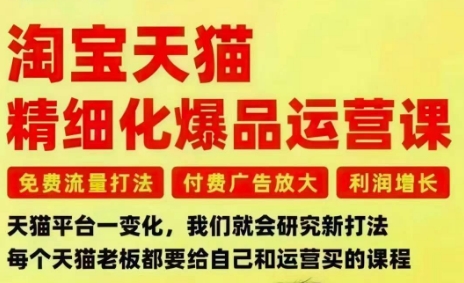 淘宝天猫精细化爆品运营课，免费流量打法-付费广告放大-利润增长-三大核心痛点，一次全部解决-数智网创