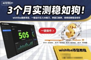 3个月实测稳如狗!wishlba最新项目,一键运行日入50美刀,单窗口躺挣,保姆级教程全给你【揭秘】-数智网创