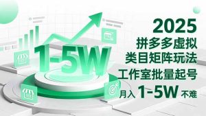 2025 拼多多虚拟类目矩阵玩法，工作室批量起号，月入 1-5W 不难-数智网创