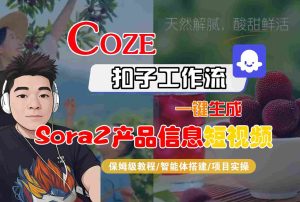 Coze扣子智能体工作流一键生成“SORA2产品信息“短视频，全流程保姆级教学-数智网创