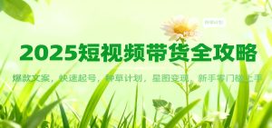 2025短视频带货全攻略：爆款文案，快速起号，种草计划，星图变现，新手零门槛上手-数智网创