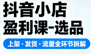 抖音小店盈利课-选品·上架·发货·流量全环节拆解-数智网创