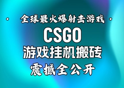 【年底大揭秘】基于全球最火爆的射击CSGO游戏挂G搬砖，日入5张+，震撼公开-数智网创