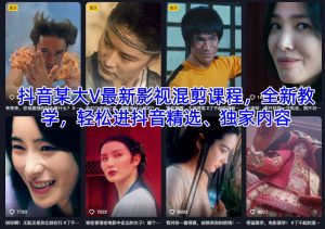 抖音某大V最新影视混剪课程，全新教学，轻松进抖音精选、独家内容-数智网创