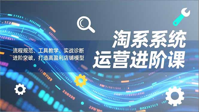 淘系系统运营进阶课2.0，流程规范、工具教学、实战诊断，进阶突破，打造高盈利店铺模型-数智网创