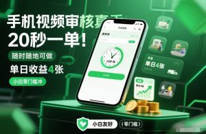 手机视频审核真香！20秒一单，随时随地可做，单日收益4张，小白零门槛冲【揭秘】-数智网创