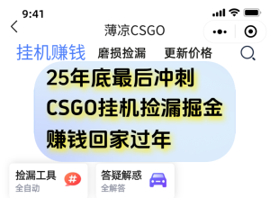 12月年底抓紧最后一个月，用CSGO游戏挂机捡漏掘金赚钱掘金，一部手机轻松日入500+-数智网创