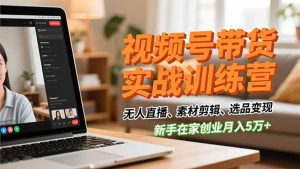 视频号带货实战训练营,无人直播、素材剪辑、选品变现,新手在家创业月入5万+-数智网创