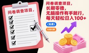 问卷调查项目，长期零撸，无脑操作有手就行，每天轻松日入100+【揭秘】-数智网创