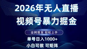2026最新视频号无人直播掘金，全网首发，小白可以玩，长期稳定日入1k+【揭秘】-数智网创