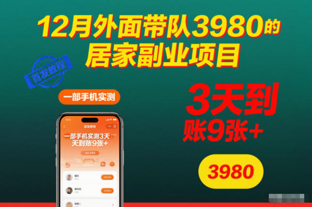 12月外面带队3980的居家副业项目，一部手机实测3天到账9张+，首发教程【揭秘】-数智网创