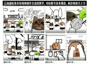 卤蛋哈基米短视频制作全流程教学，条条爆款，疯狂吸粉几十万-数智网创