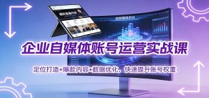 企业自媒体账号运营实战课:定位打造+ 爆款内容+数据优化,快速提升账号权重-数智网创
