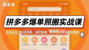 拼多多爆单照搬实战课，类目玩法、活动选择、避坑指南，新手小白快速出单赚钱-数智网创