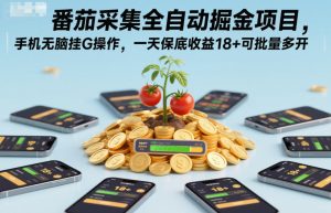 番茄采集全自动掘金项目，手机无脑挂G操作，一天保底收益18+可批量多开【揭秘】-数智网创