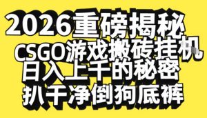 2026开年重磅解密，CSGO游戏搬砖挂G日入1k+的秘密，把倒狗的底裤扒干【揭秘】-数智网创