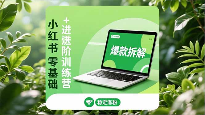 小红书零基础+高阶训练营：安全养号、爆款拆解、长效运营，实现稳定涨粉与变现-数智网创
