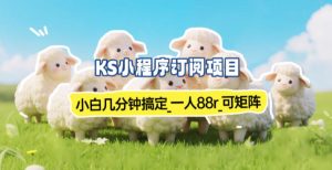 小程序订阅项目_小白几分钟搞定，一人88米，可矩阵(已测到账)-数智网创