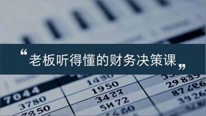 老板能听得懂的财务决策课,报表解读、数据洞察、风险识别,用财务驱动业务增长-数智网创
