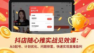 抖店随心推实战见效课：从0起号、计划优化、问题排雷，快速实现直播盈利-数智网创
