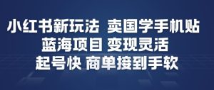 小红书新玩法，卖国学手机贴，蓝海项目，变现灵活，起号快，商单接到手软-数智网创