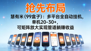 抢先布局慧有米(99盒子)：多平台全自动挂机，单机20-30+，可矩阵实现管道躺赚-数智网创