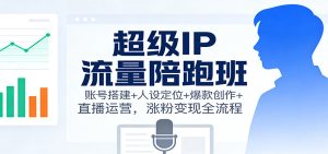 超级IP流量陪跑班:账号搭建+人设定位+爆款创作+直播运营,涨粉变现全流程-数智网创