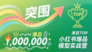 小红书爆品模型实战营，从新品突围到成为类目TOP，可复制路径，打造多个营收百万级爆品-数智网创