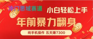 年前爆火项目,5天赚了7300-数智网创