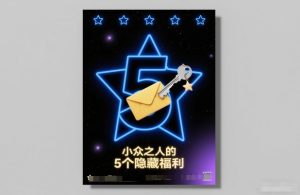 付费文章：小众之人的5个隐藏福利-数智网创